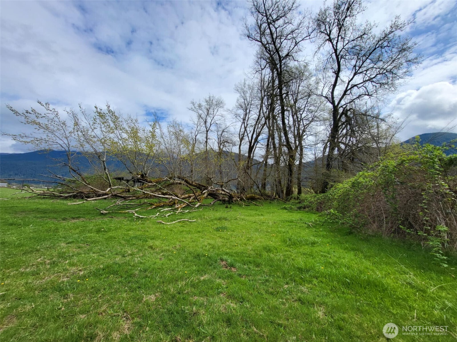 241 Pompey Peak Dr/104 Horseshoe Property Photo 3