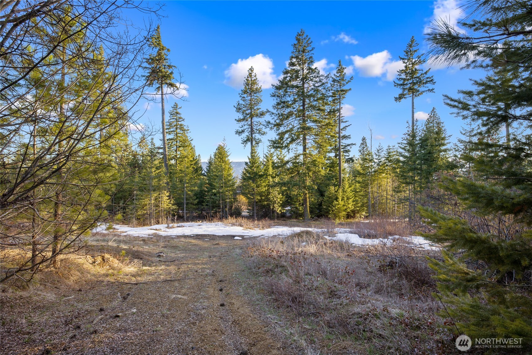 47 Forest Ridge Drive (lot #47) Property Photo 8