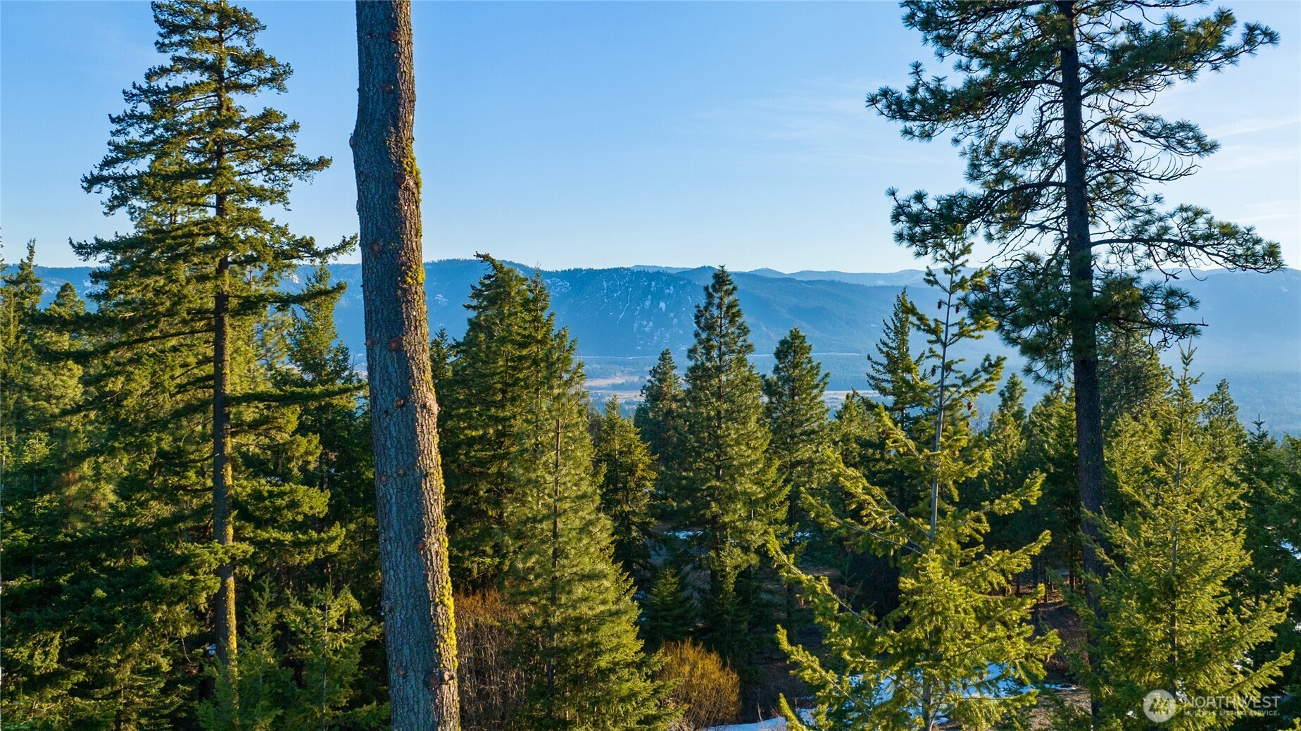 47 Forest Ridge Drive (lot #47) Property Photo 10