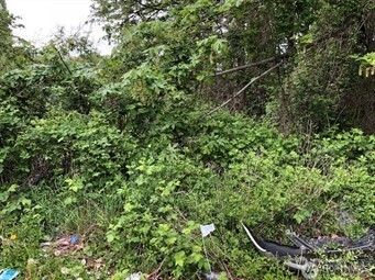 5921 33rd Ave Property Photo 1