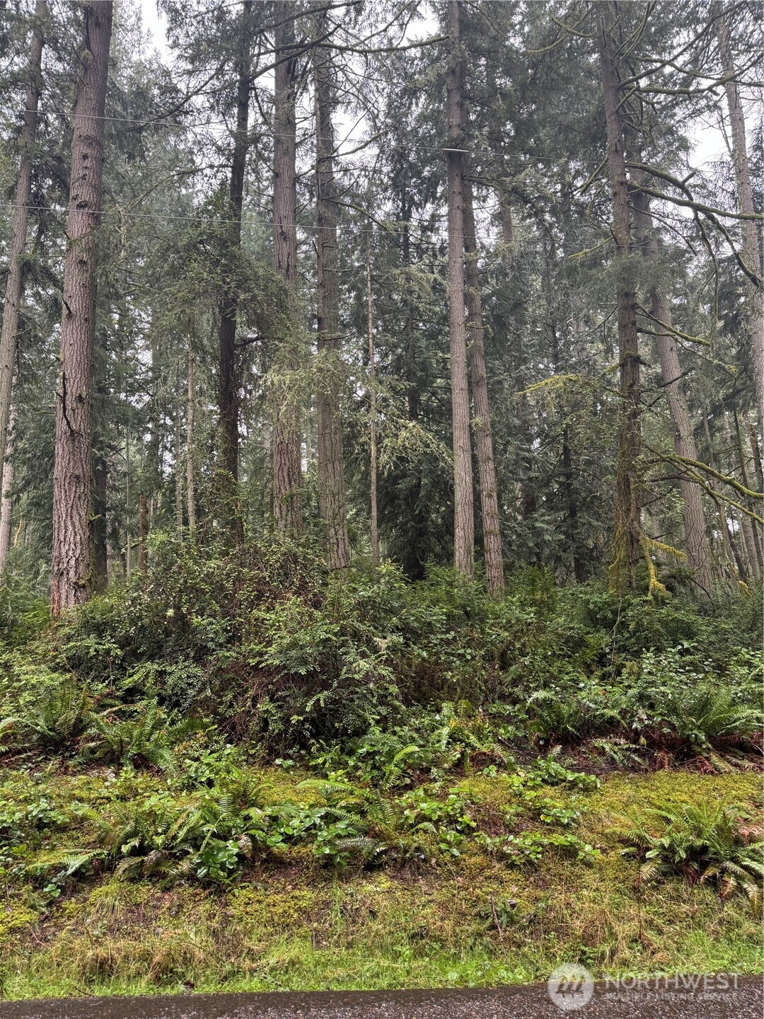 12708 Lovass Road Property Photo