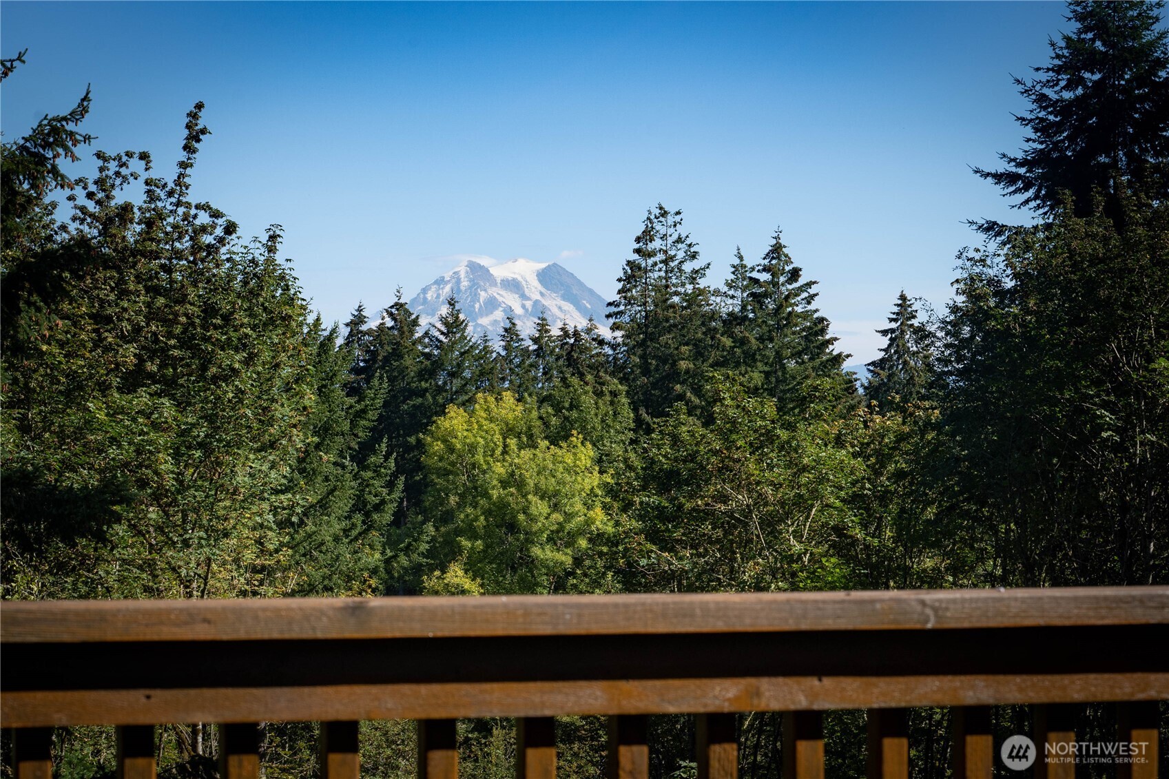 11510 Snowcap Lane Property Photo 4