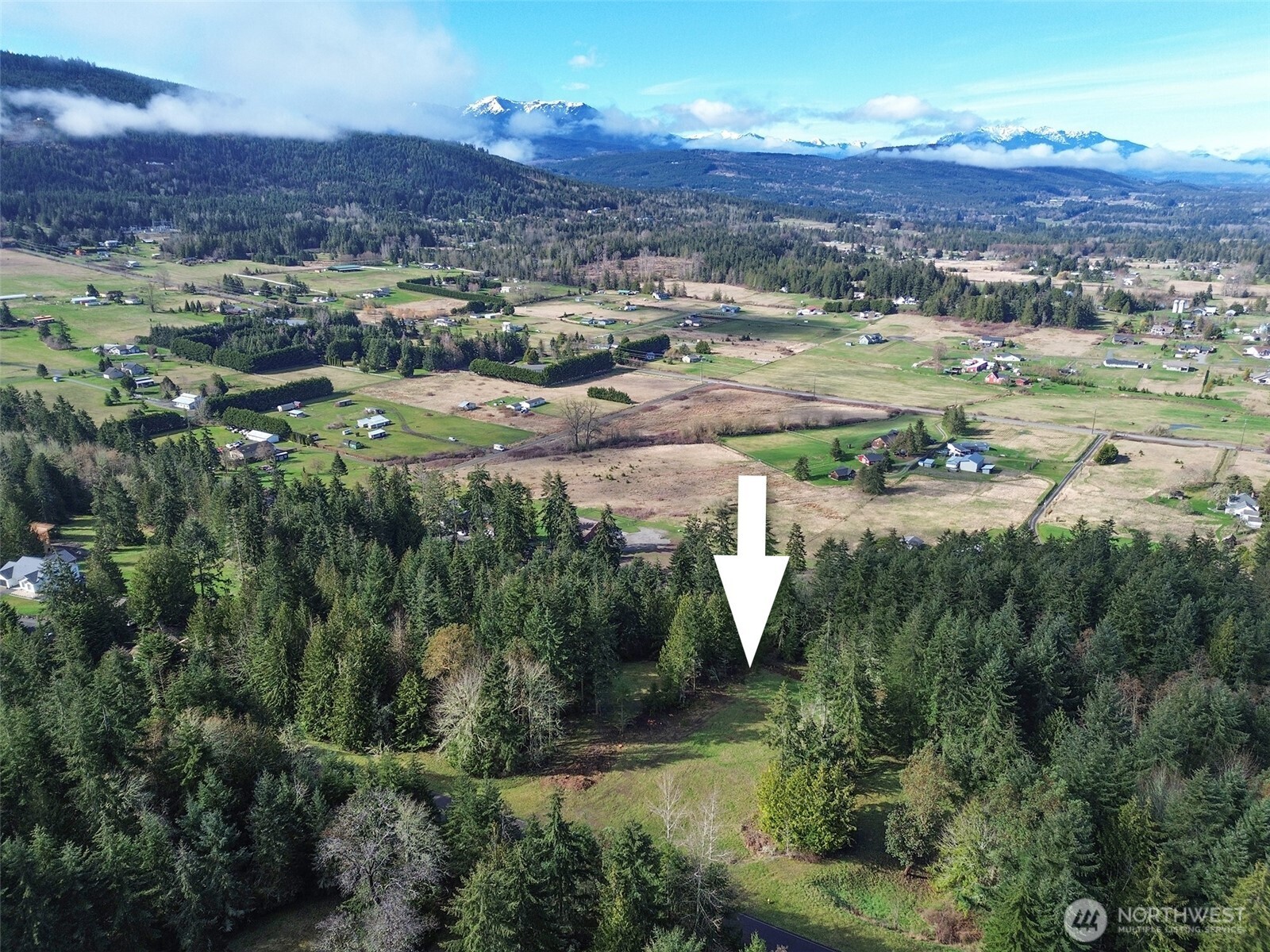 999 Fox Hollow Road Property Photo 4