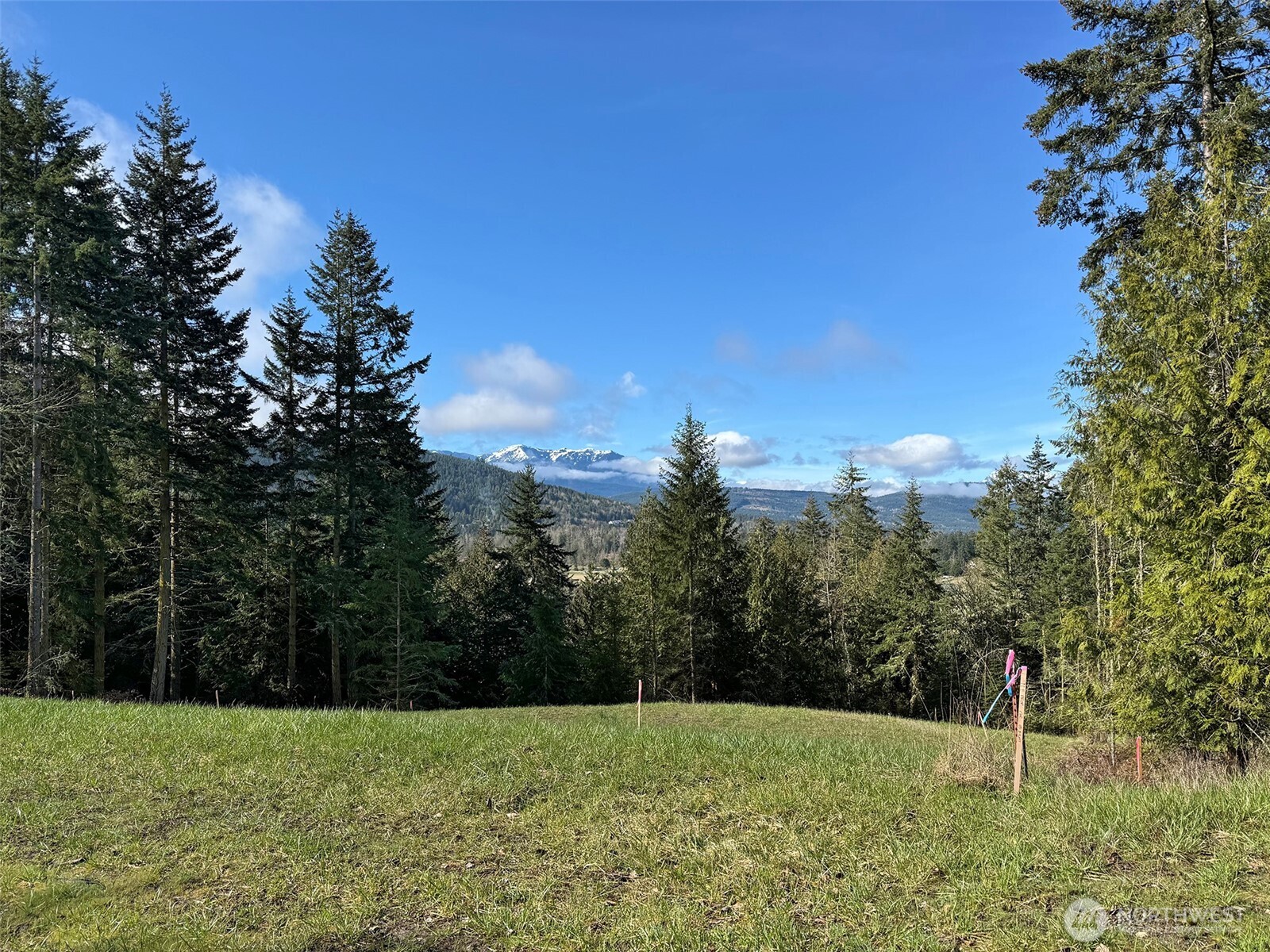 999 Fox Hollow Road Property Photo 7