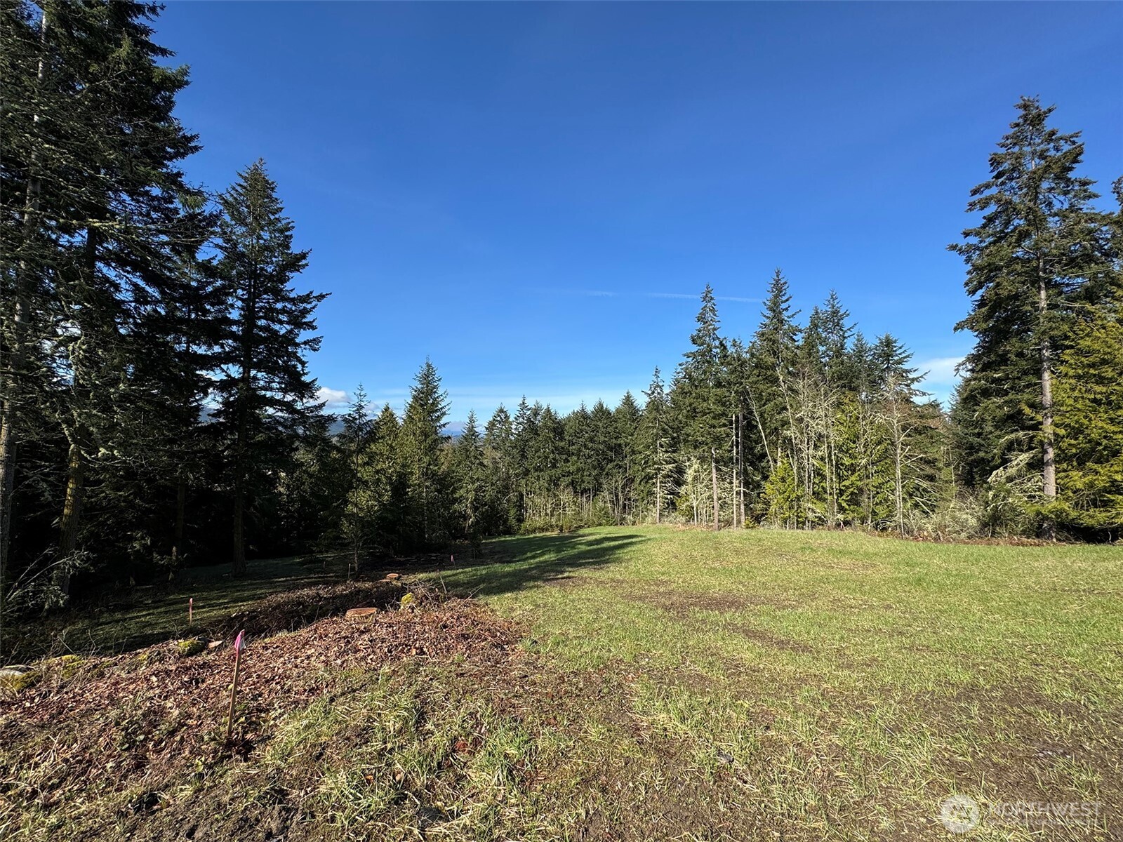 999 Fox Hollow Road Property Photo 11