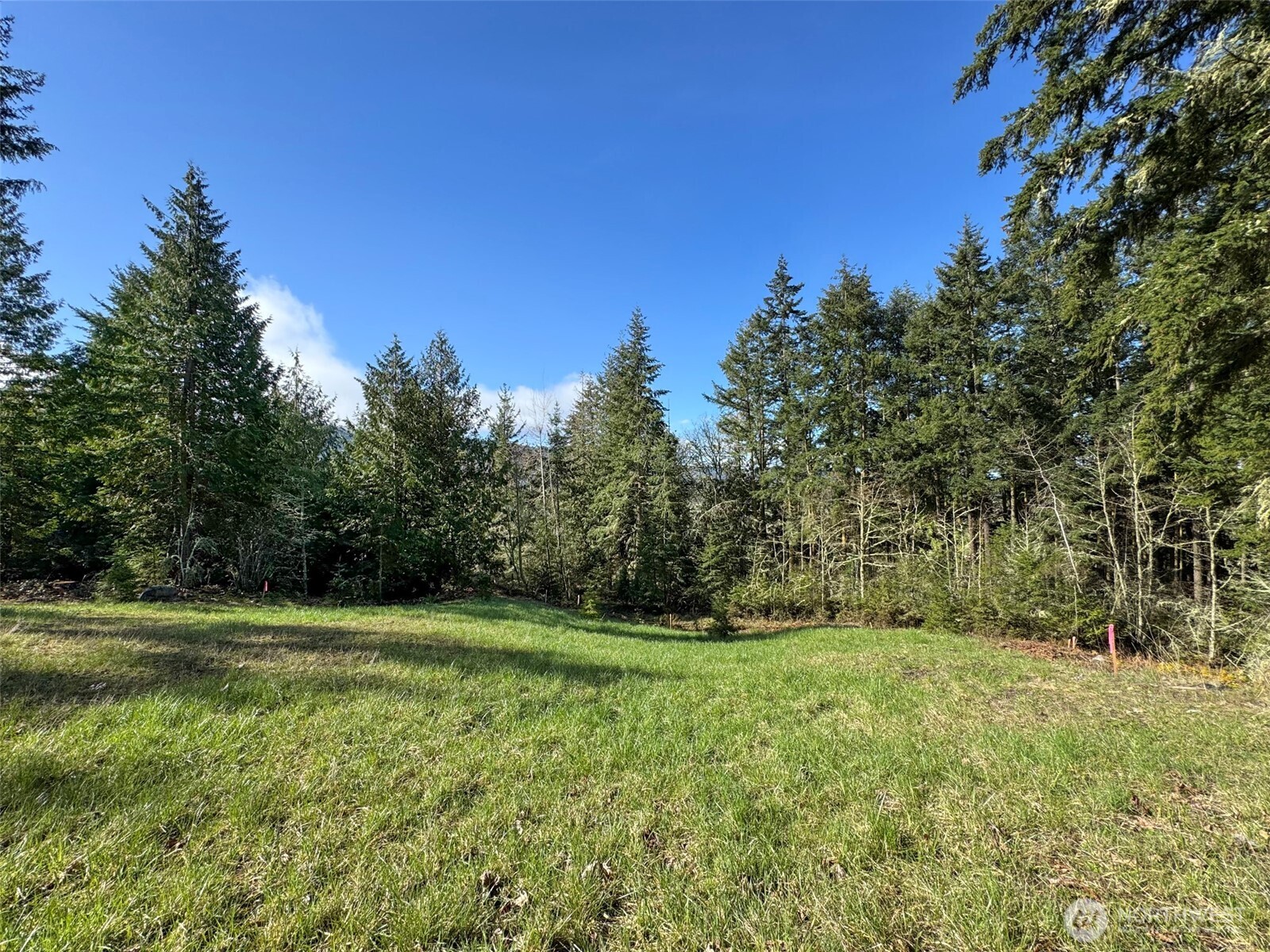 999 Fox Hollow Road Property Photo 13