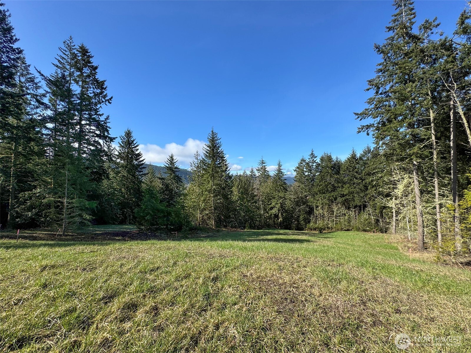 999 Fox Hollow Road Property Photo 14