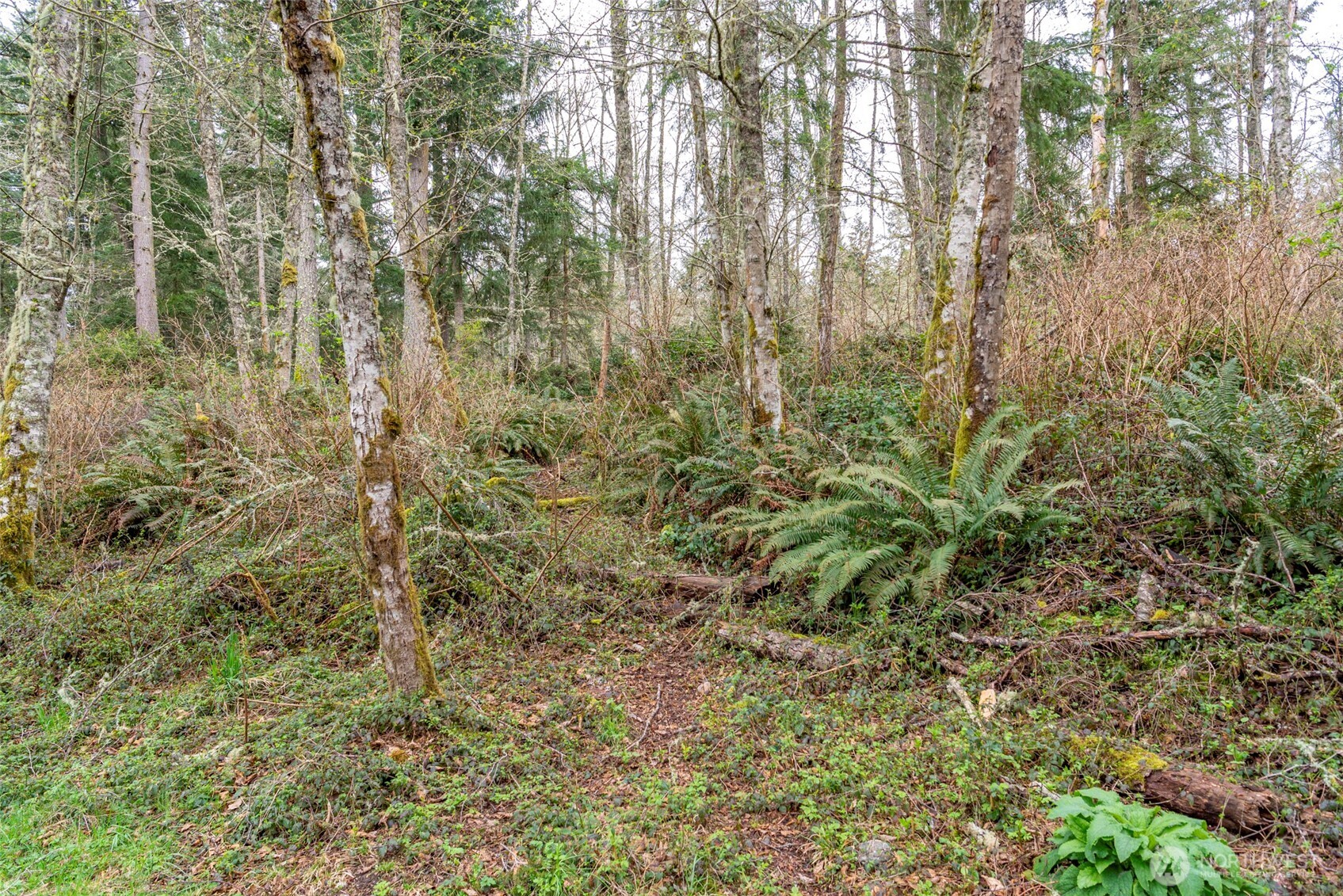6902 Holst Road Property Photo 6
