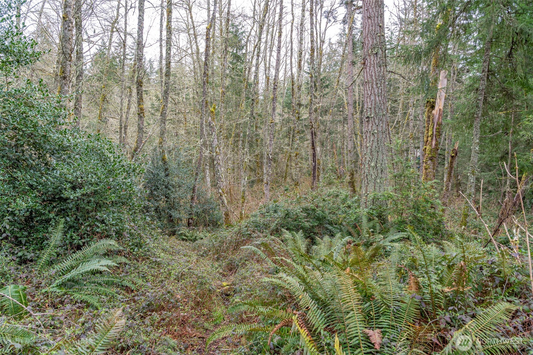 6902 Holst Road Property Photo 8