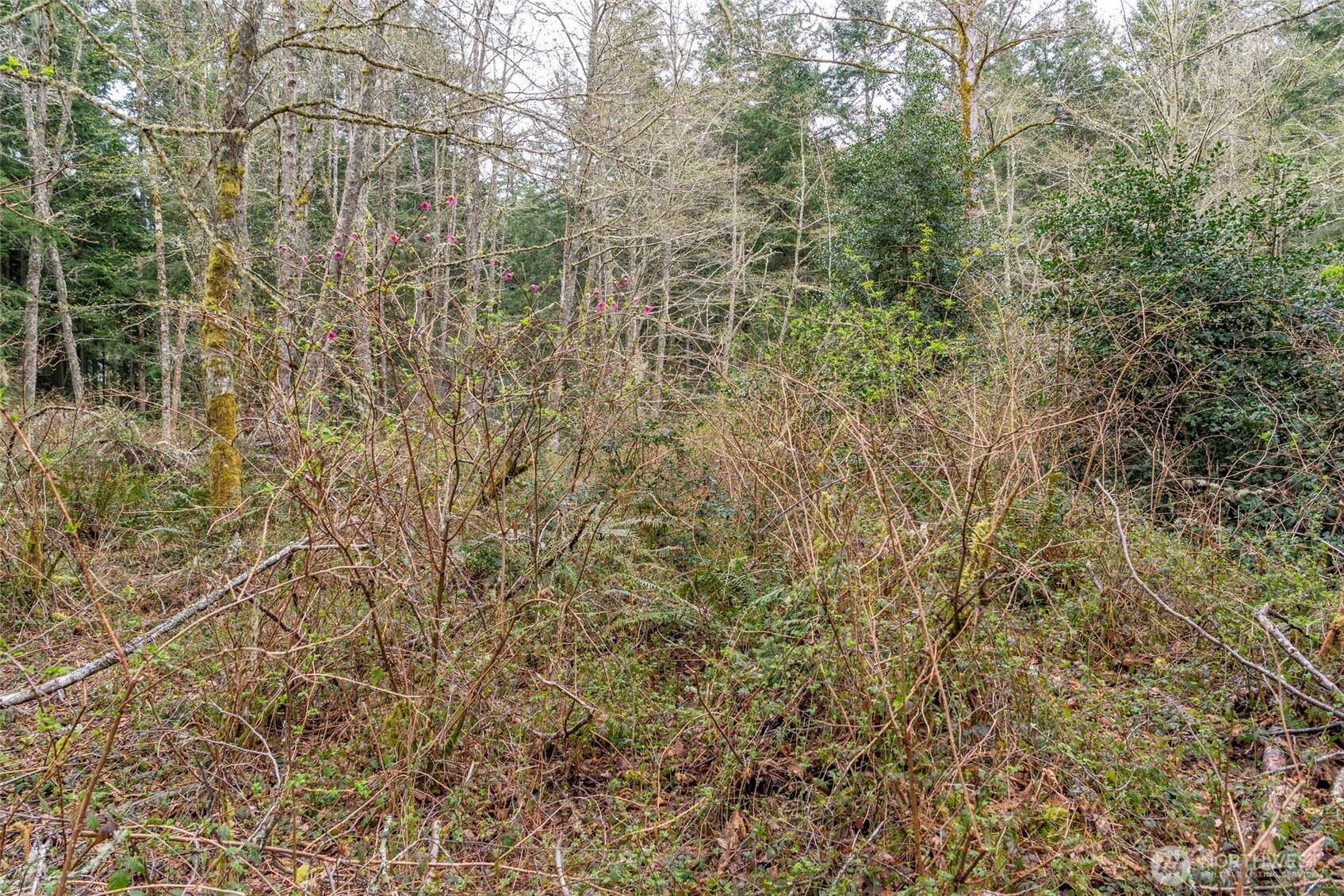 6902 Holst Road Property Photo 9