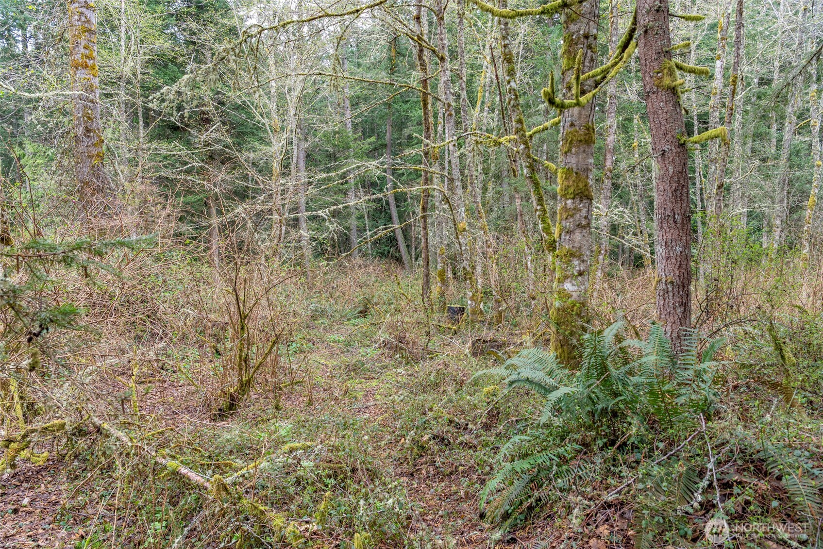 6902 Holst Road Property Photo 11