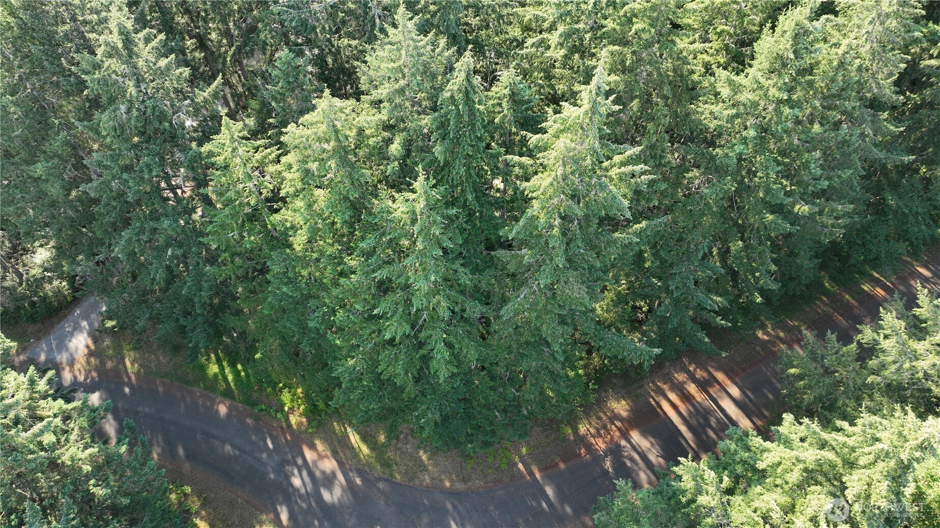 8502 Garden Drive Property Photo 6