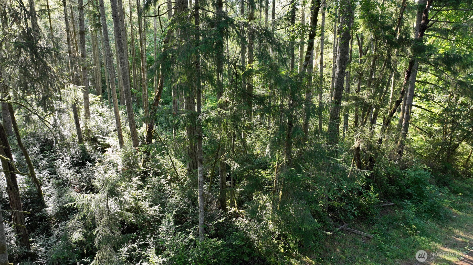 8502 Garden Drive Property Photo 12