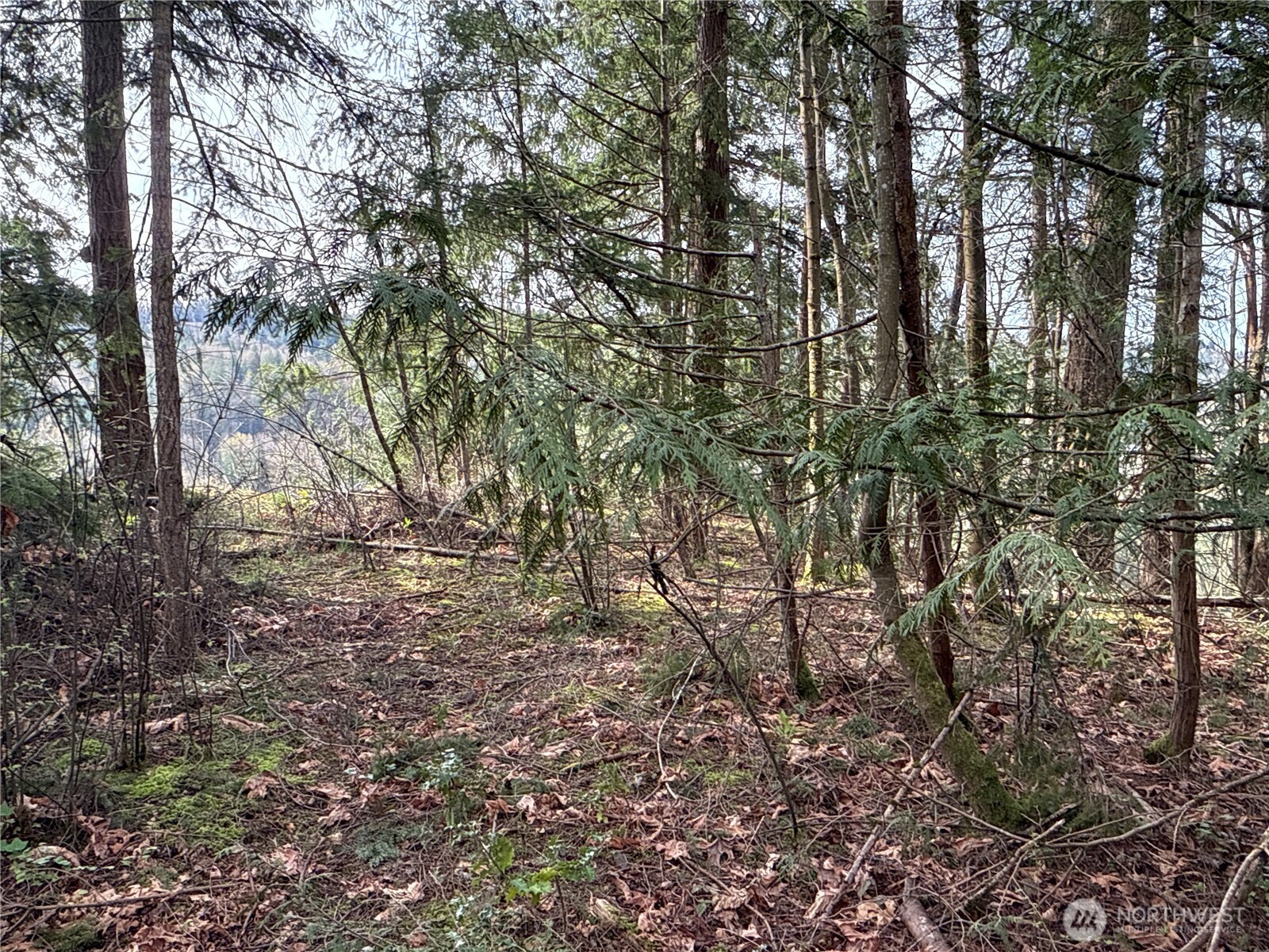 149 Xx 175th Avenue Property Photo 9