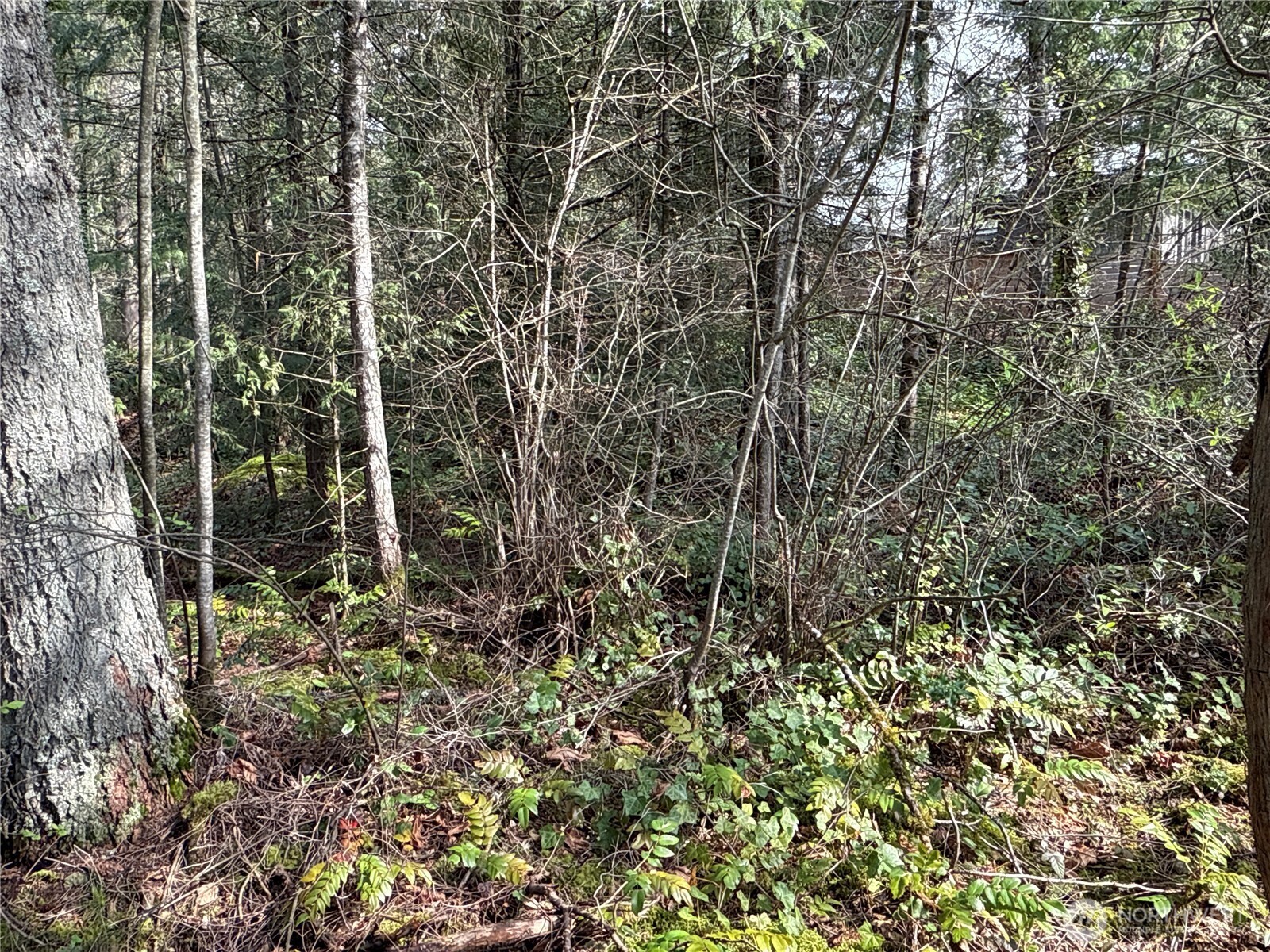 149 Xx 175th Avenue Property Photo 11