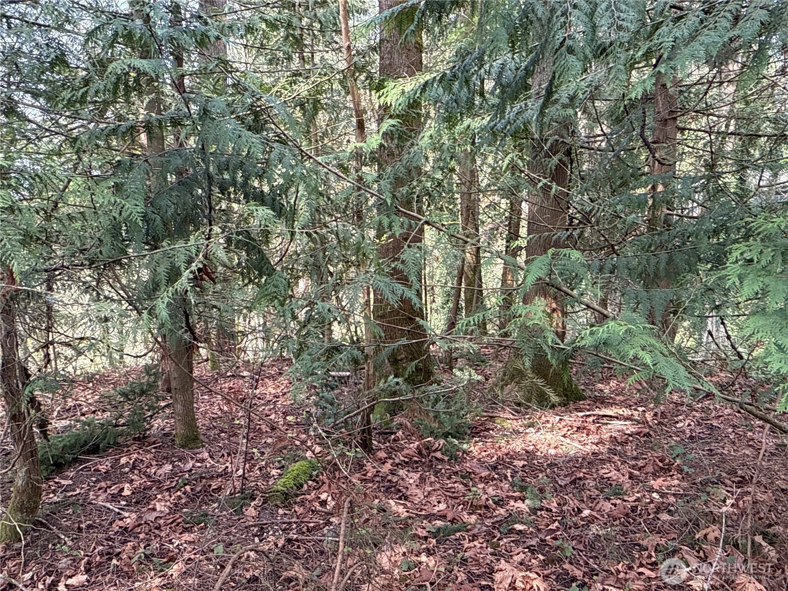 149 Xx 175th Avenue Property Photo 16