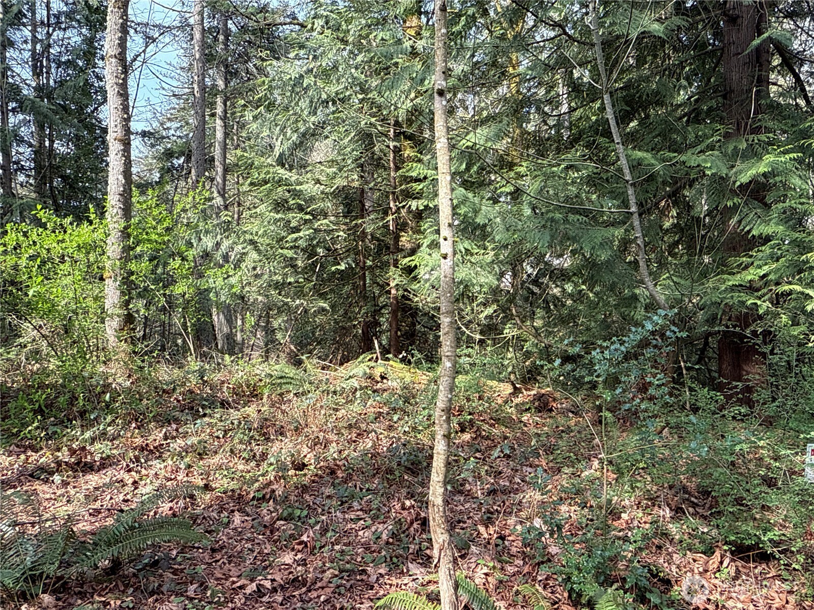149 Xx 175th Avenue Property Photo 17