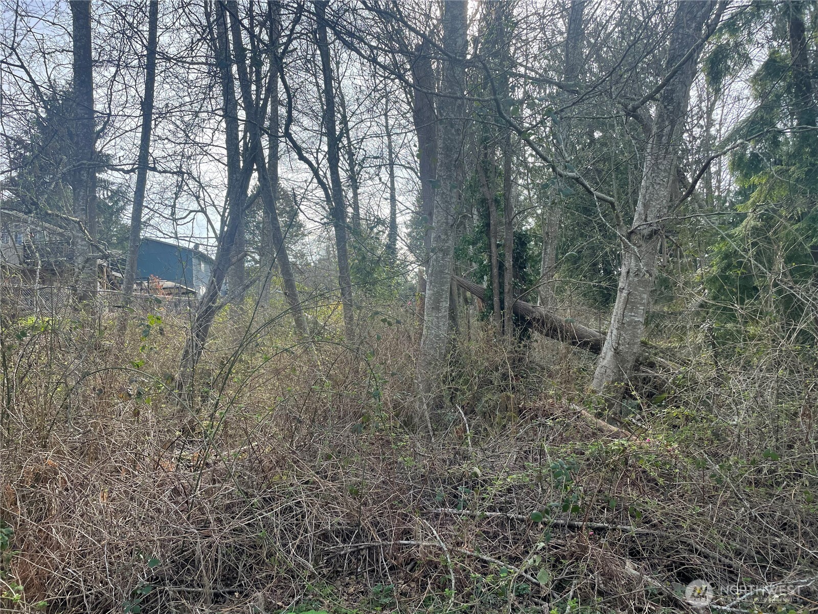 26495 Edgewater Boulevard Property Photo
