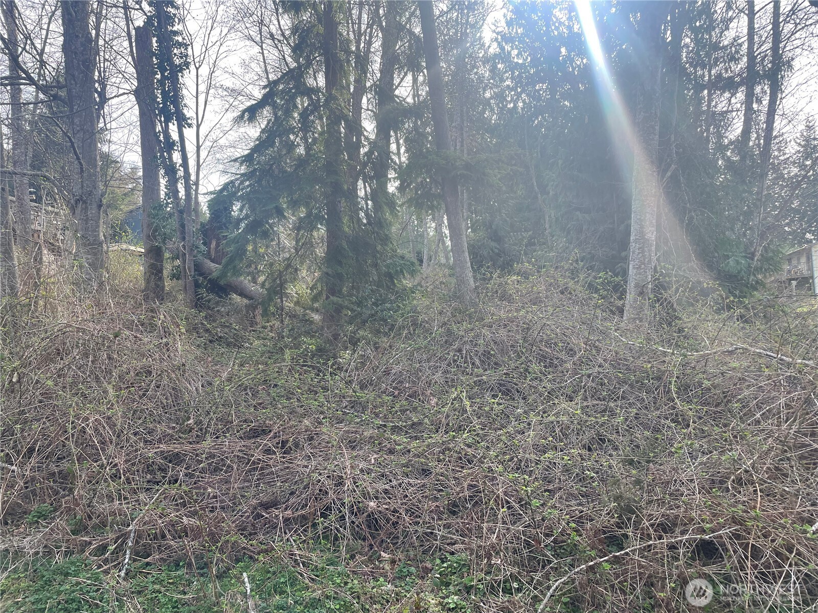 26495 Edgewater Boulevard Property Photo 2
