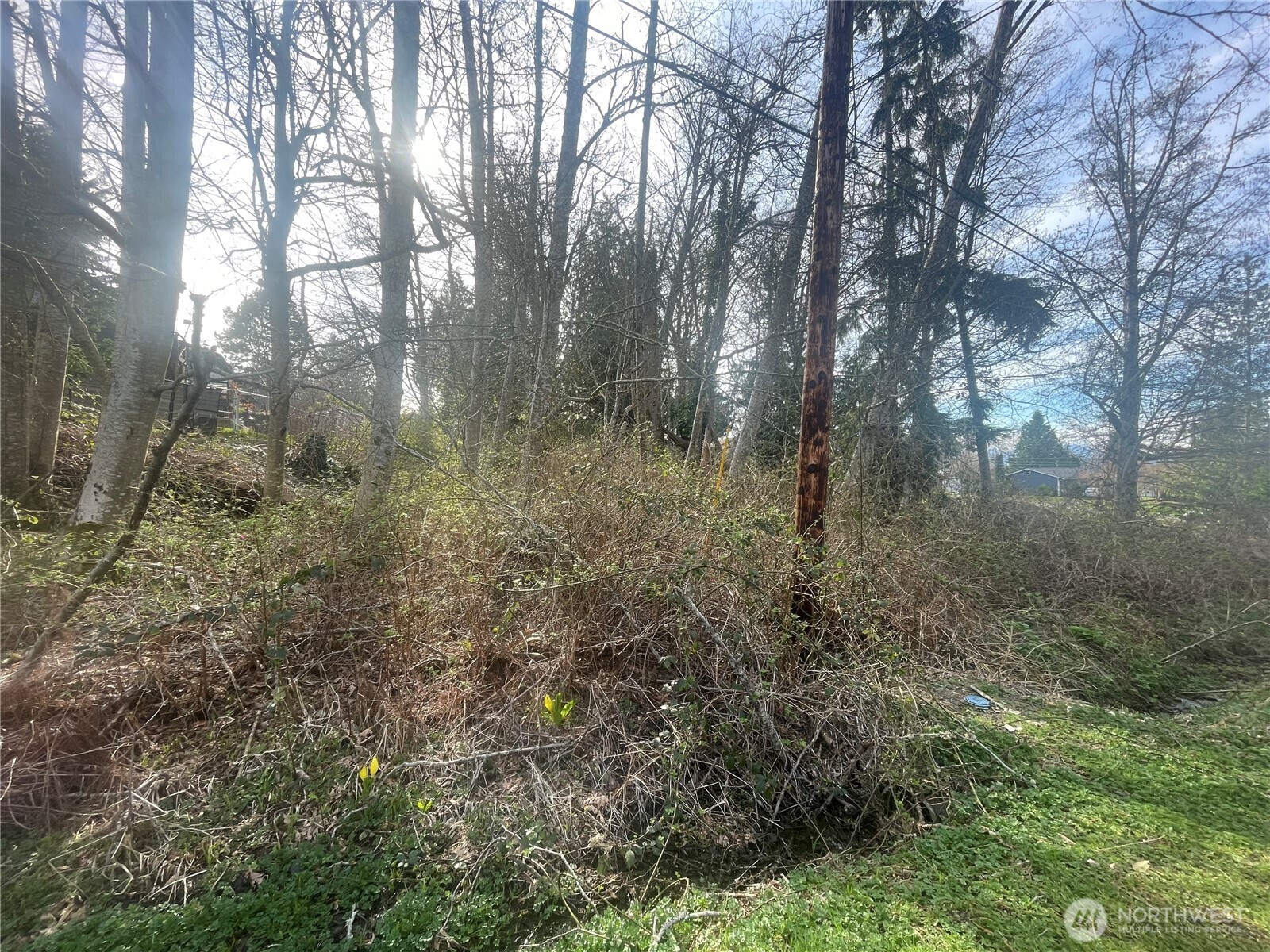 26495 Edgewater Boulevard Property Photo 5