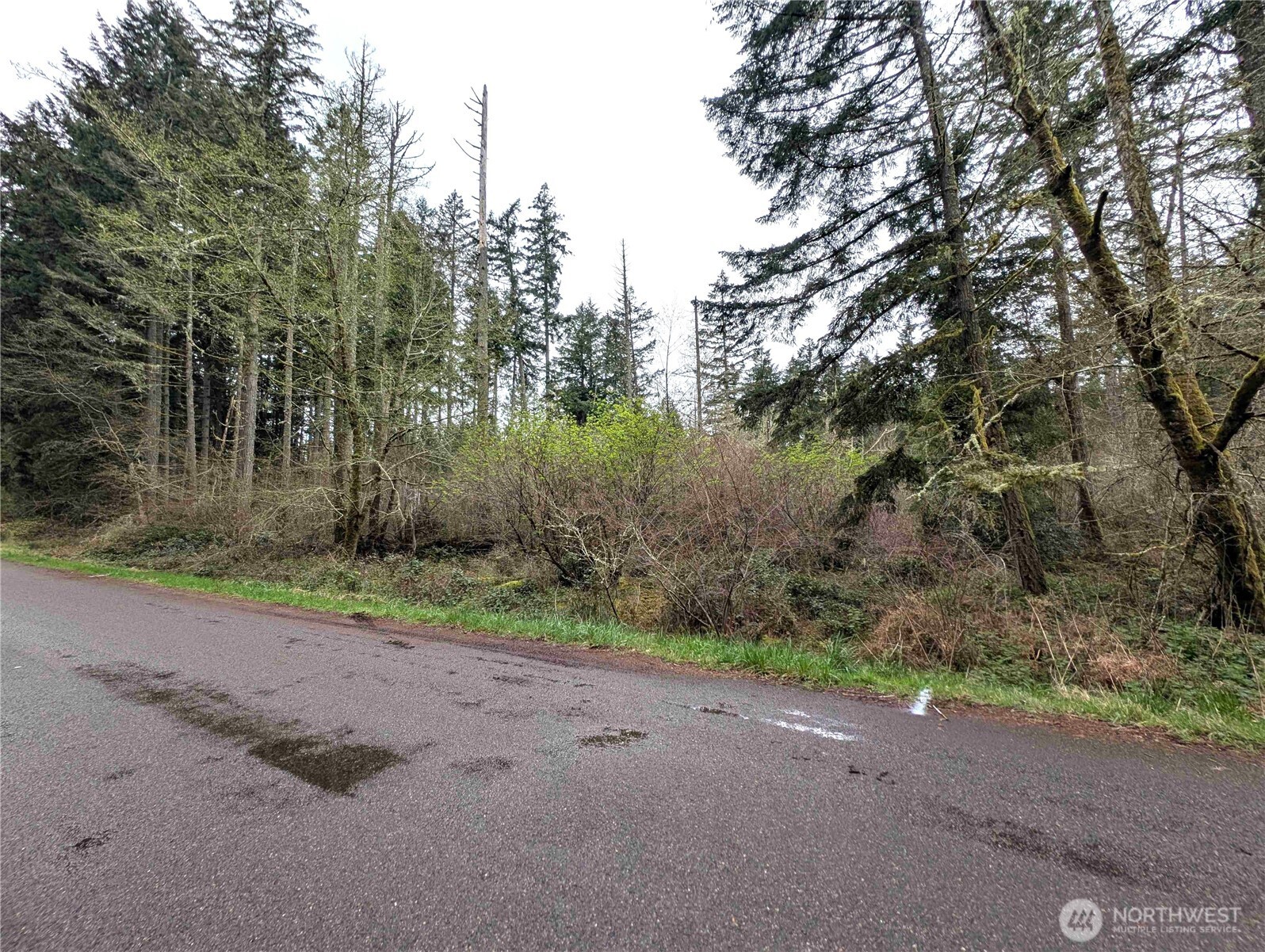 10618 Tahoma Drive Property Photo