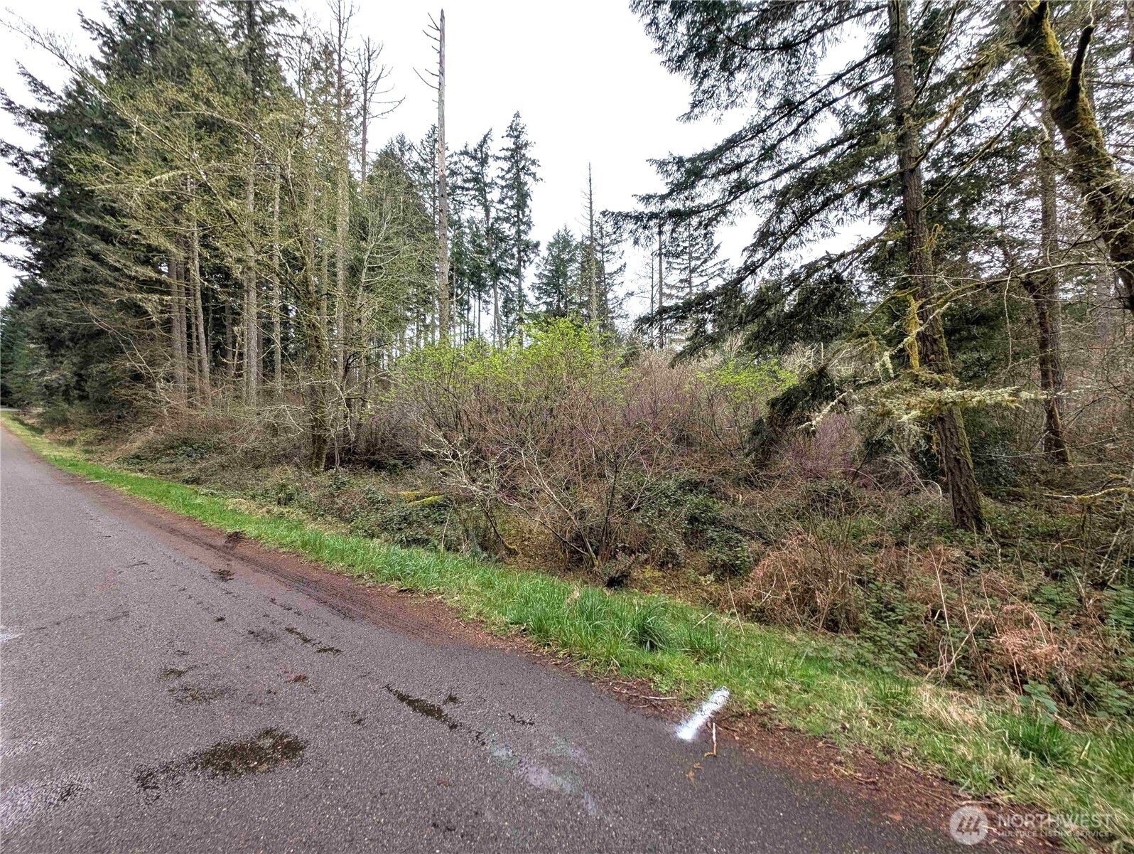 10618 Tahoma Drive Property Photo 2