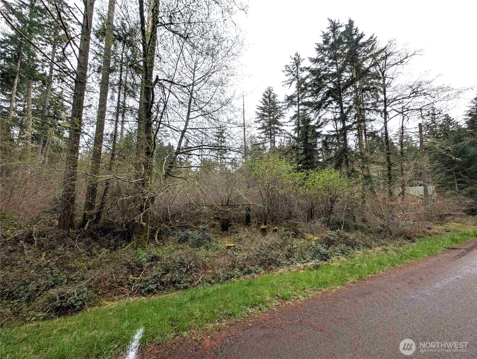 10618 Tahoma Drive Property Photo 4