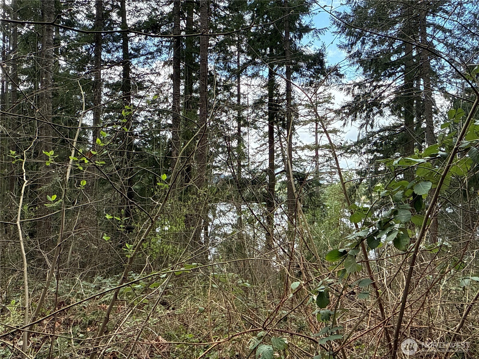 18243 Se Suncrest Court Property Photo 3