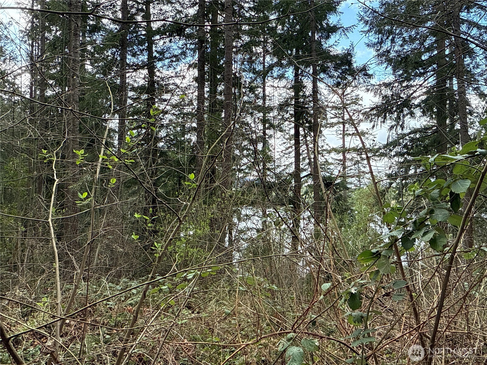 18243 Se Suncrest Court Property Photo 4