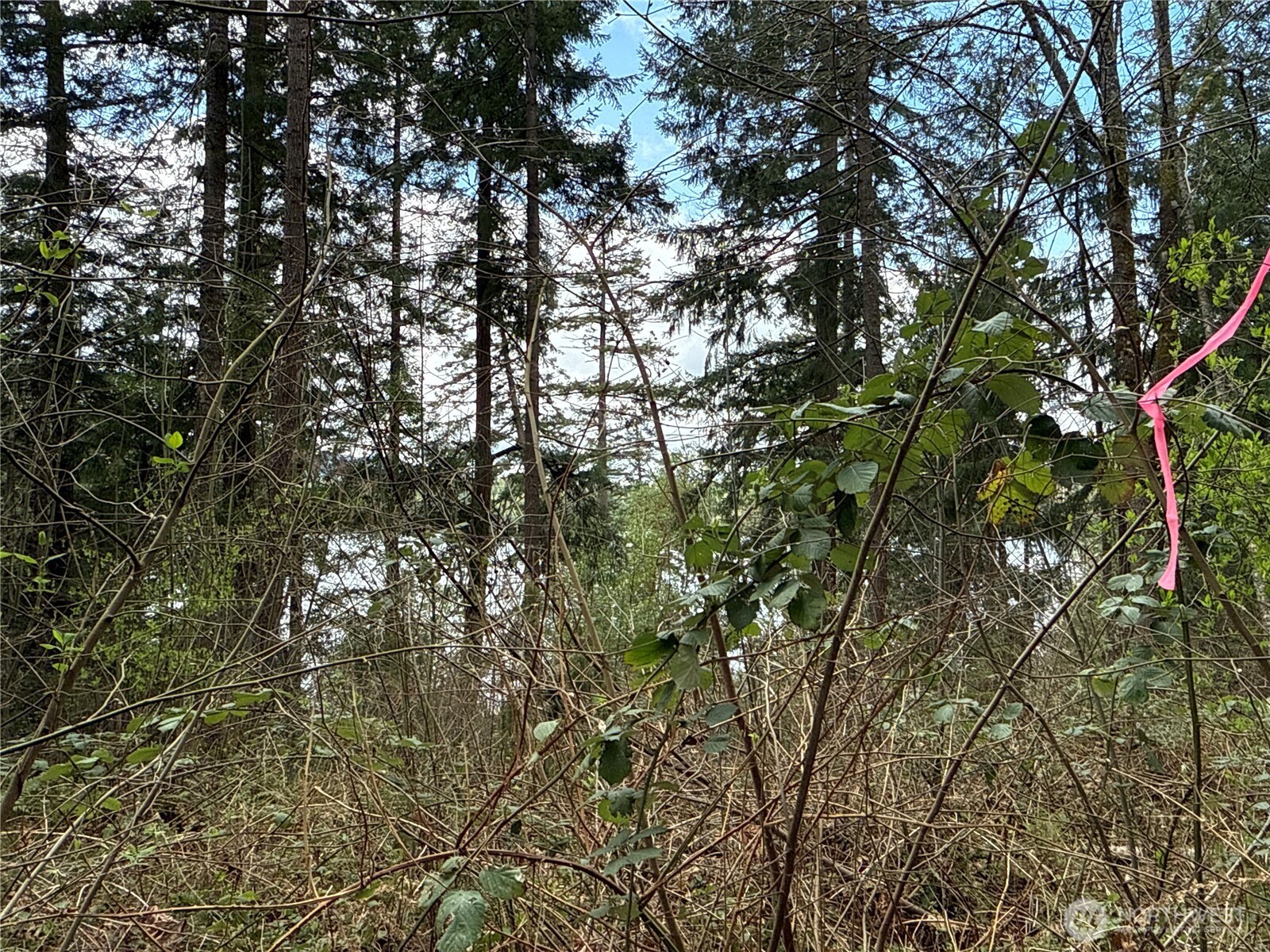 18243 Se Suncrest Court Property Photo 4