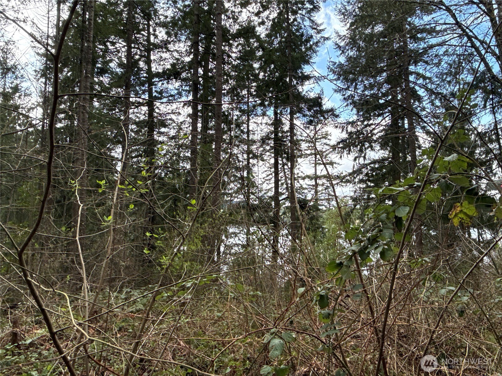 18243 Se Suncrest Court Property Photo 7
