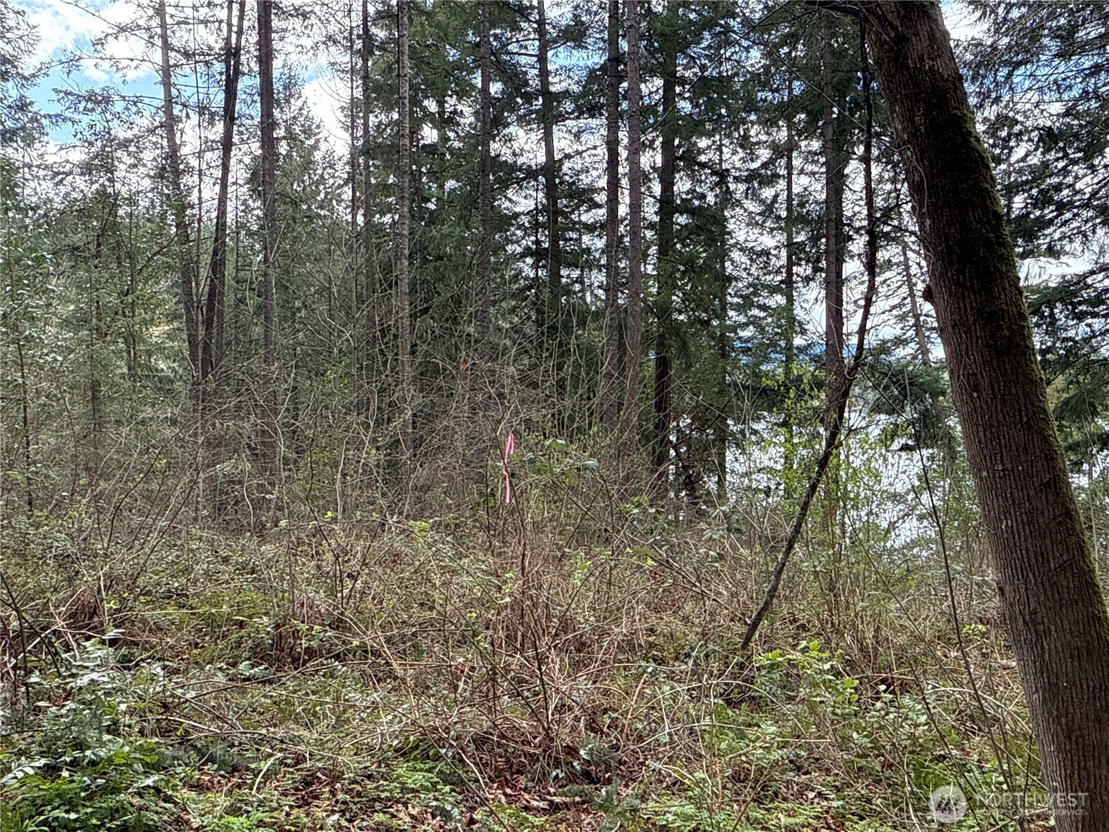 18243 Se Suncrest Court Property Photo 7
