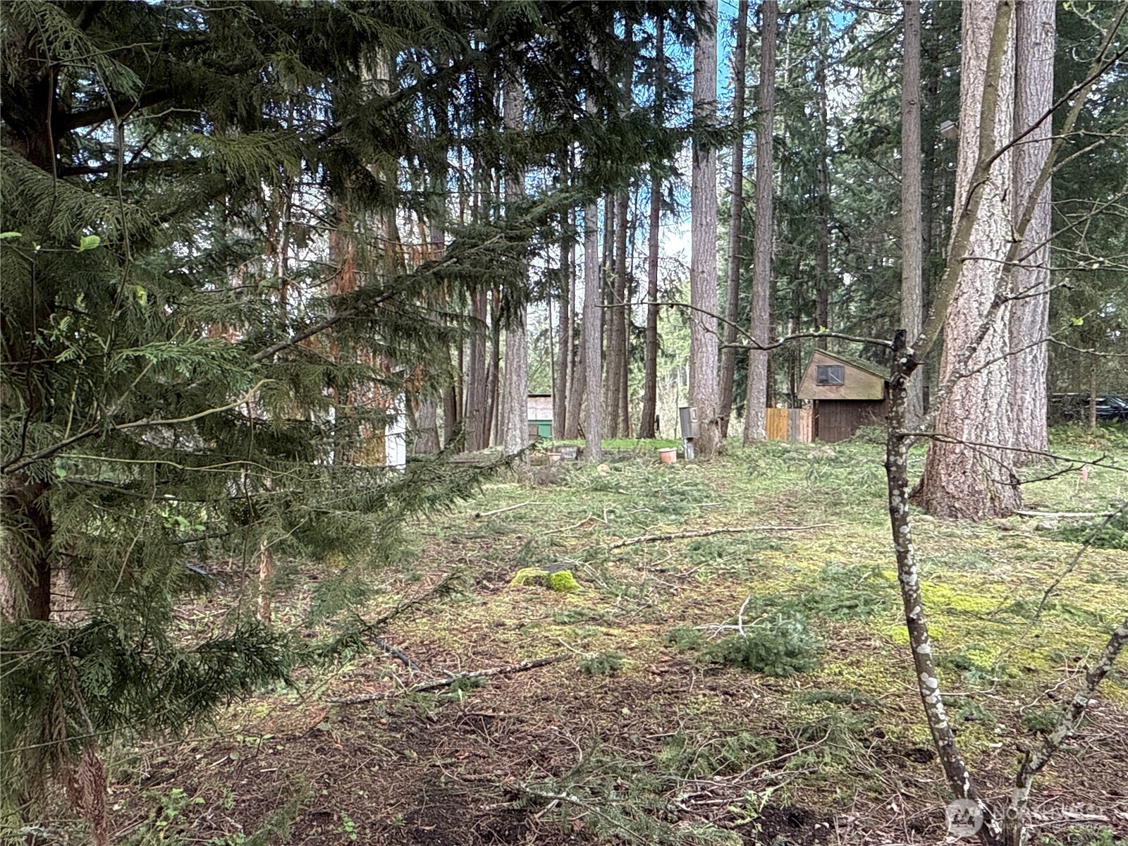 18243 Se Suncrest Court Property Photo 8