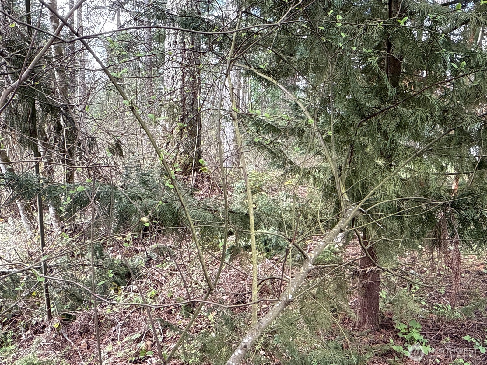 18243 Se Suncrest Court Property Photo 8