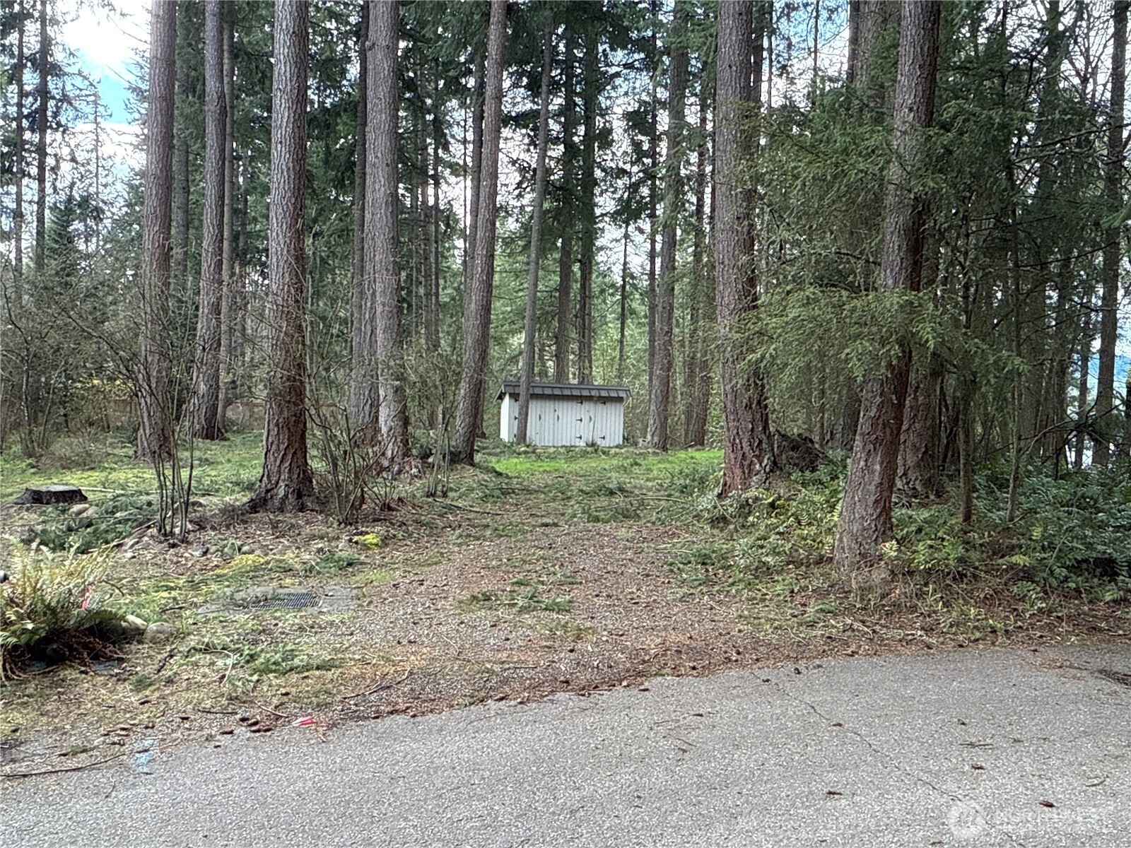 18243 Se Suncrest Court Property Photo 19