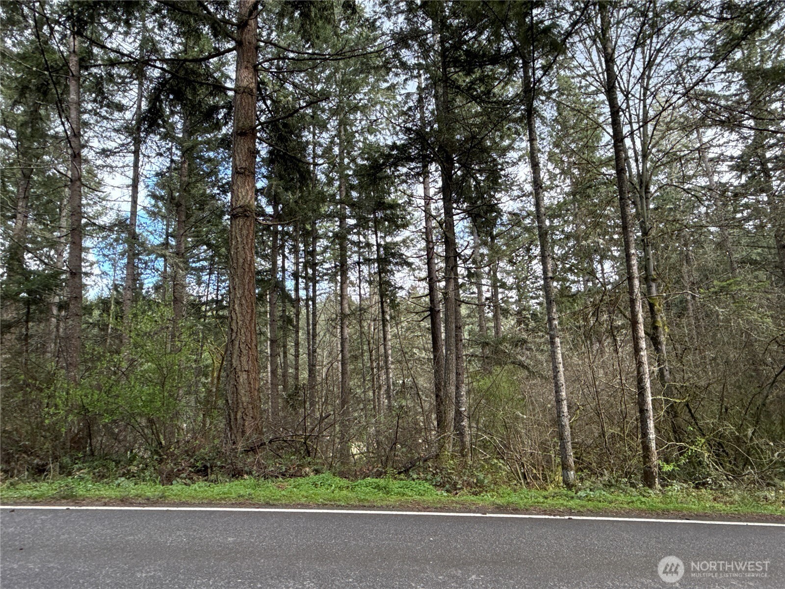 17636 E Clear Lake Boulevard Property Photo 1