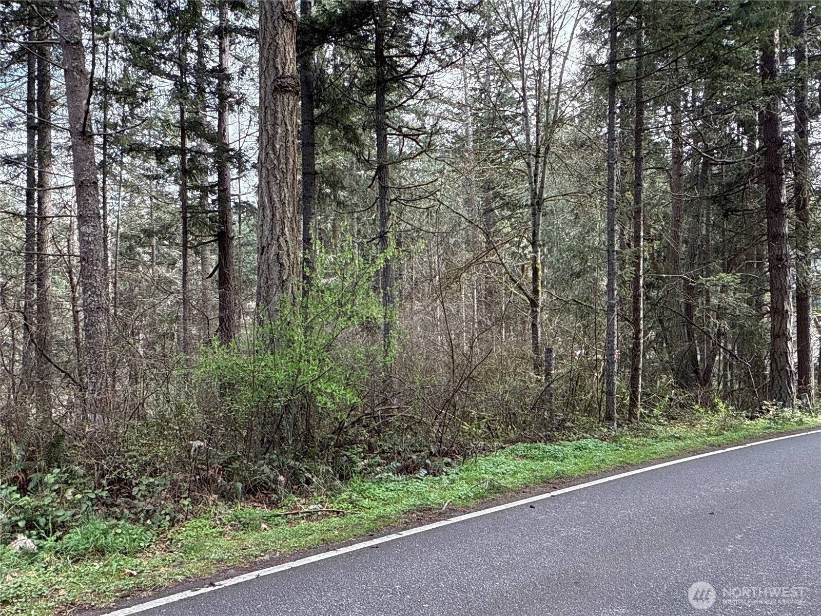 17636 E Clear Lake Boulevard Property Photo 2