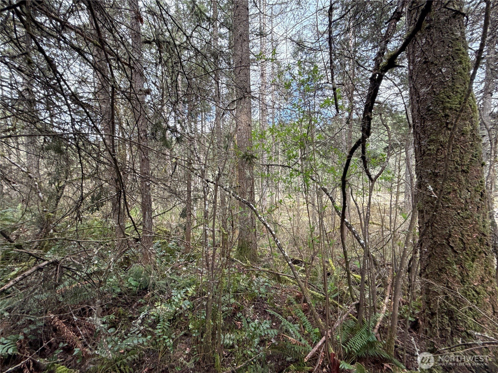 17636 E Clear Lake Boulevard Property Photo 7