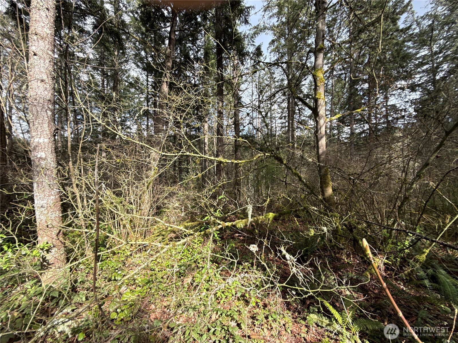 17636 E Clear Lake Boulevard Property Photo 8