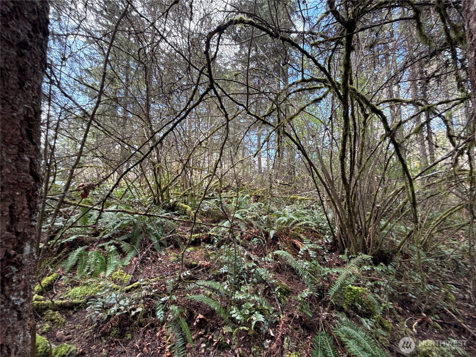 17636 E Clear Lake Boulevard Property Photo 10