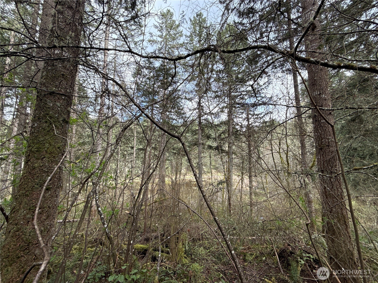 17636 E Clear Lake Boulevard Property Photo 13