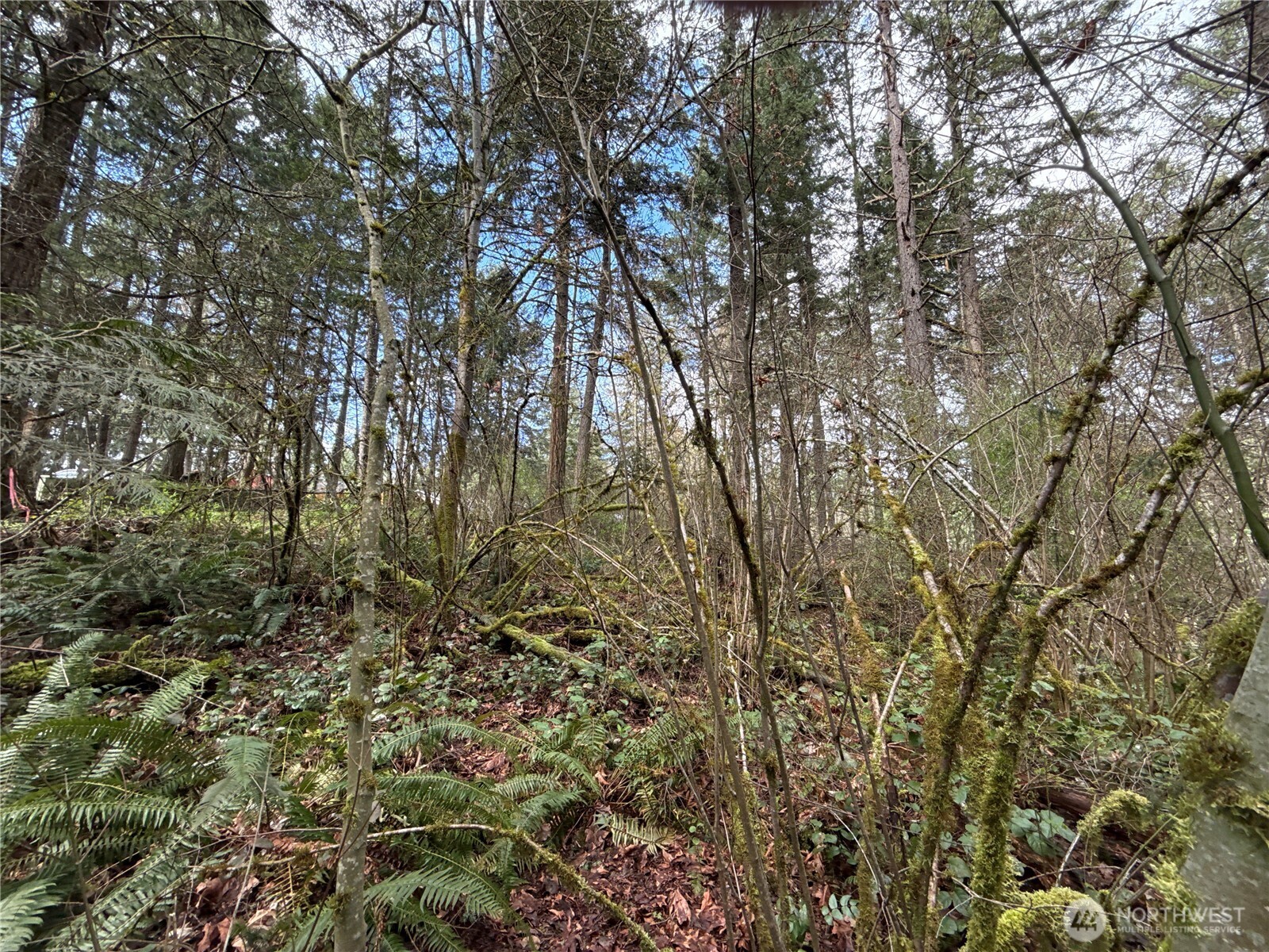 17636 E Clear Lake Boulevard Property Photo 13