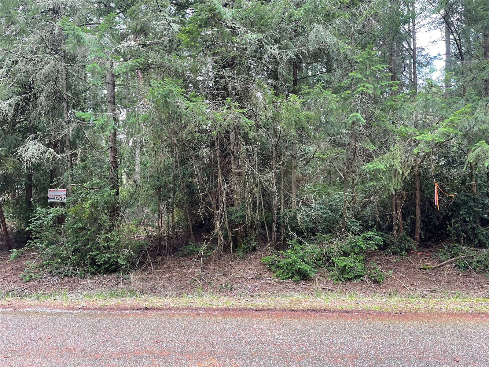10712 Lakeshore Drive Property Photo 2