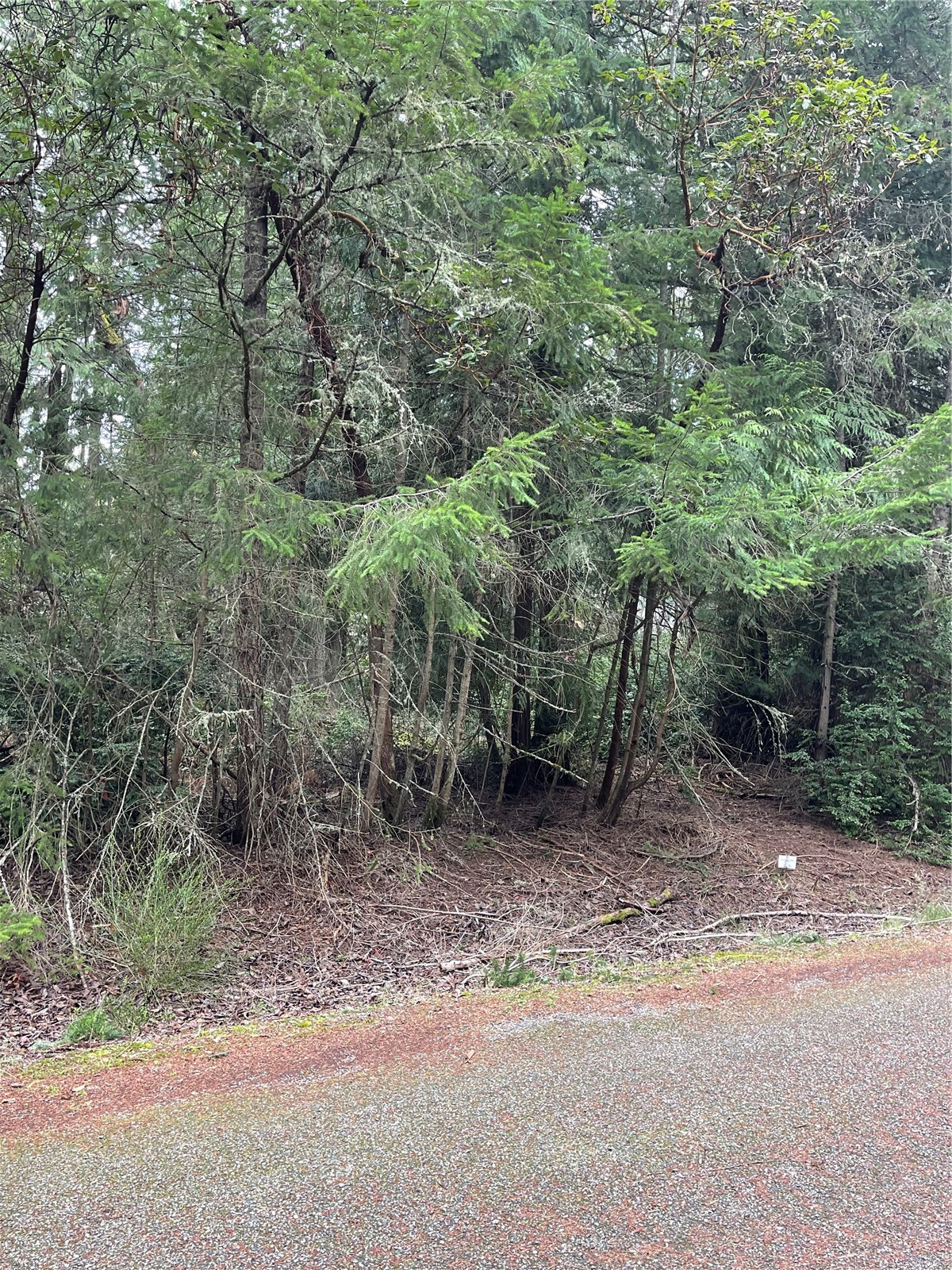 10712 Lakeshore Drive Property Photo 3