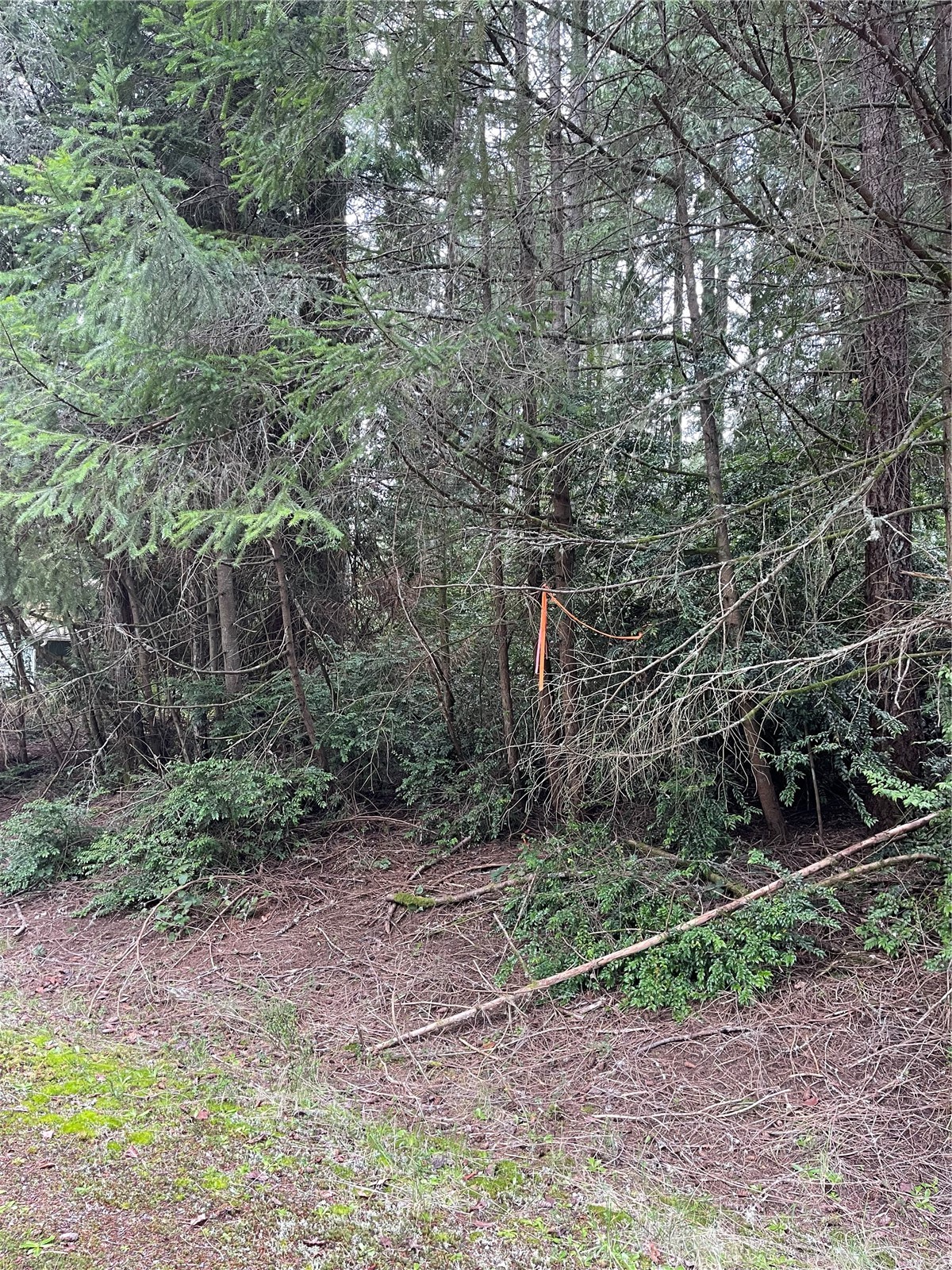 10712 Lakeshore Drive Property Photo 4