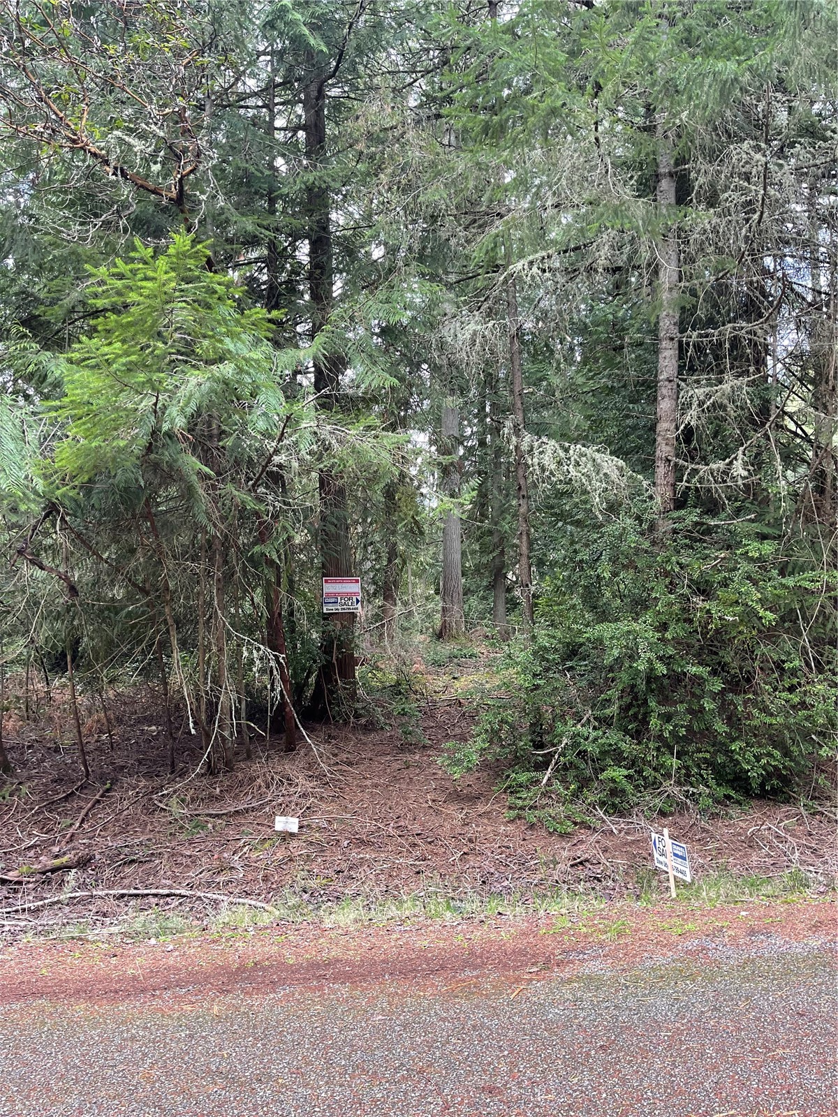10712 Lakeshore Drive Property Photo 5