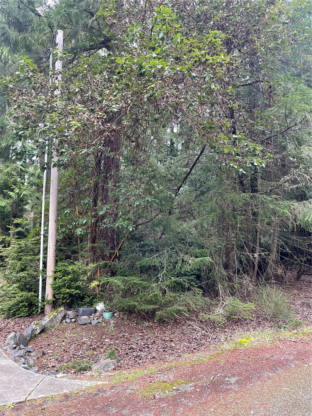 10712 Lakeshore Drive Property Photo 6