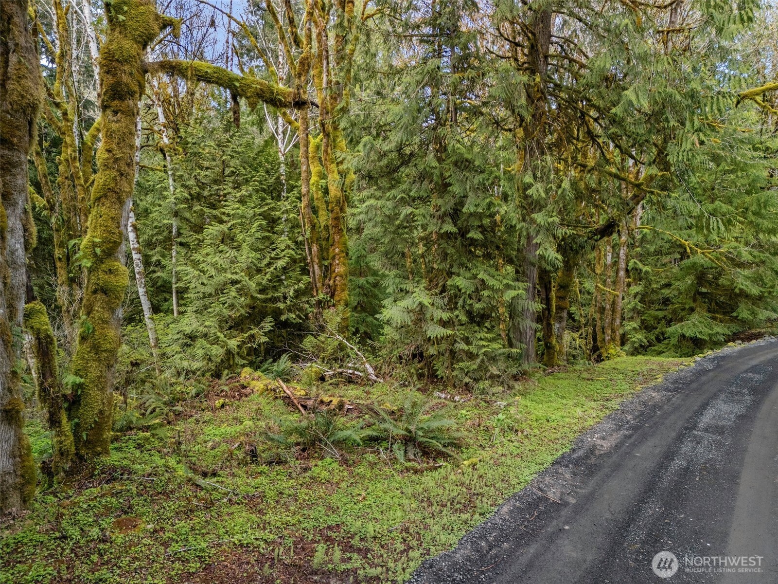 4 Xx Se Sea Der Hok Lane Property Photo 14
