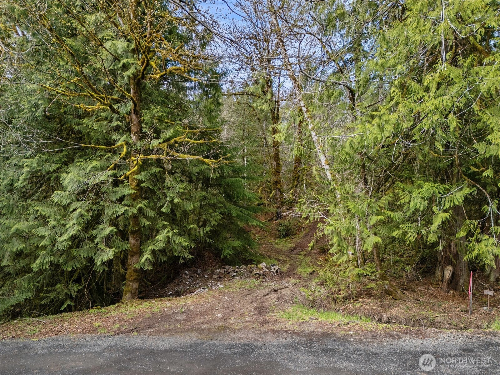 4 Xx Se Sea Der Hok Lane Property Photo 17
