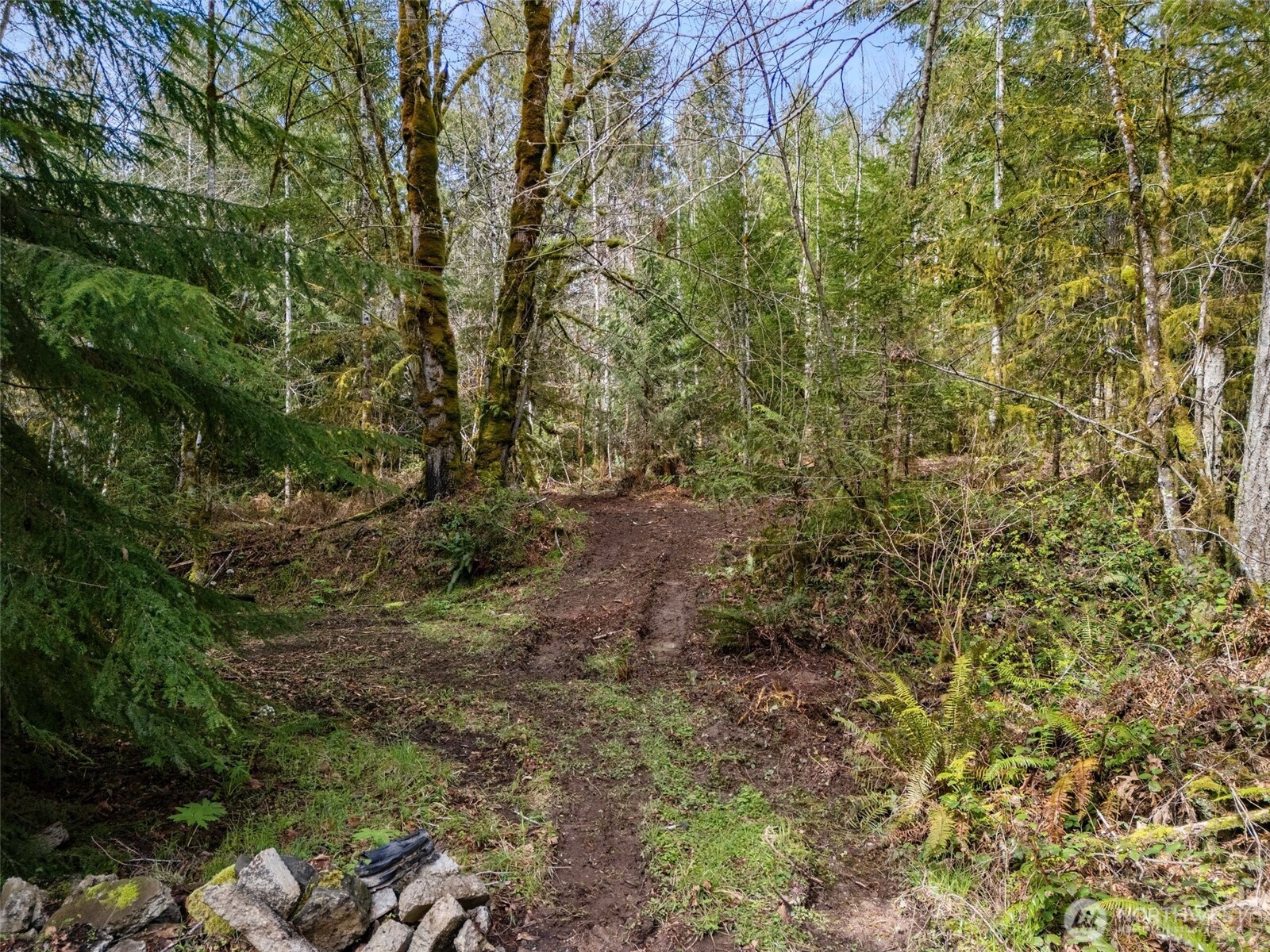 4 Xx Se Sea Der Hok Lane Property Photo 18